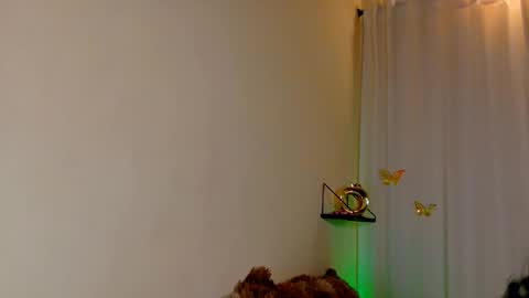 Kaaiiri online show from March 4, 8:42 am