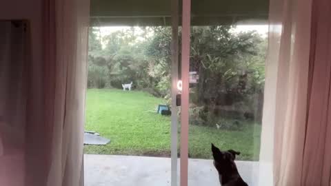 Snapshot of kaileeshy chatting on January 8, 3:51 am Kailee Smile online show from January 8, 3:51 am