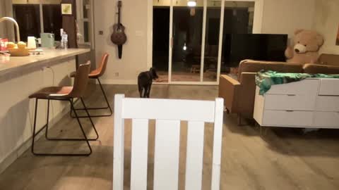 Snapshot of kaileeshy chatting on September 27, 4:39 am Kailee Smile online show from September 27, 4:39 am