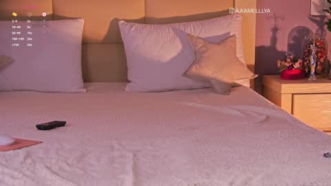 Kamelllya online show from February 2, 8:35 am