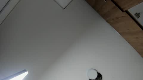 karina_aurora online show from February 19, 4:19 am