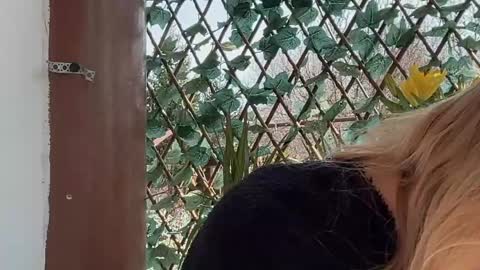 karoline121 online show from March 17, 9:12 am