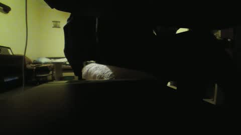 Snapshot of kaskaderns chatting on October 18, 8:09 pm Stojko online show from October 18, 8:09 pm