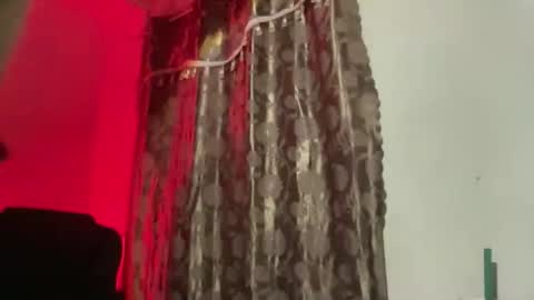 Majesty online show from November 20, 7:35 pm