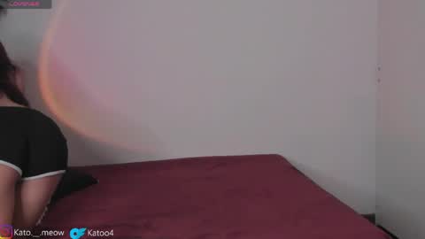 Kato online show from April 24, 4:48 am