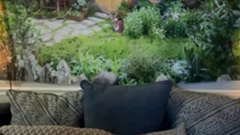 Snapshot of katy_chris chatting on June 4, 6:19 am katy_chris online show from June 4, 6:19 am
