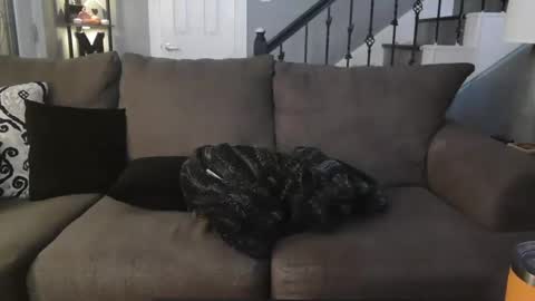 katycouple2003 online show from October 5, 5:17 am