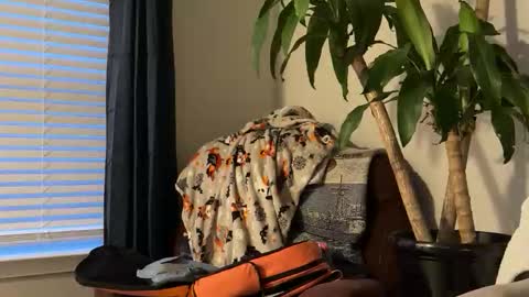 Snapshot of keaton2487 chatting on October 17, 10:56 pm Keaton Keller online show from October 17, 10:56 pm