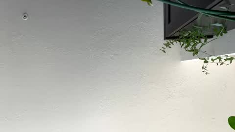 Snapshot of keepquietj chatting on January 17, 7:38 pm keepquietj online show from January 17, 7:38 pm