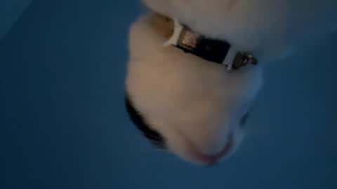 Snapshot of keepquietj chatting on January 20, 12:25 am keepquietj online show from January 20, 12:25 am