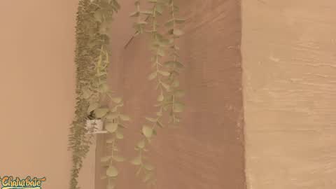 keirahartz online show from April 16, 12:28 pm