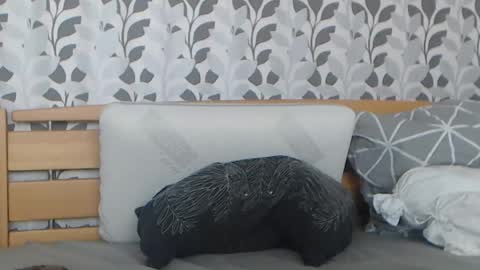 Snapshot of kelywild20 chatting on July 25, 7:06 am kelywild20 online show from July 25, 7:06 am