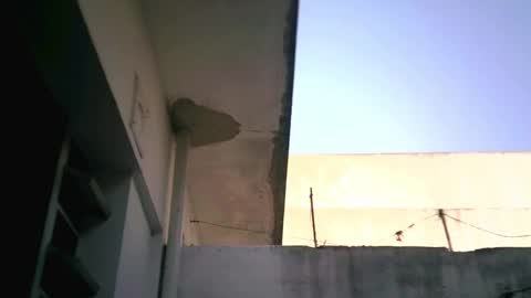 Snapshot of keny06 chatting on February 4, 7:55 pm keny06 online show from February 4, 7:55 pm