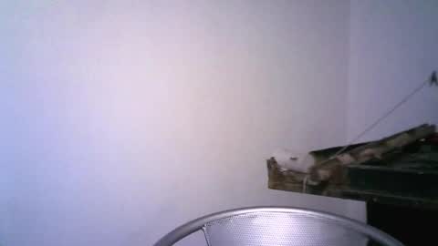 Snapshot of keny06 chatting on February 12, 3:51 am keny06 online show from February 12, 3:51 am