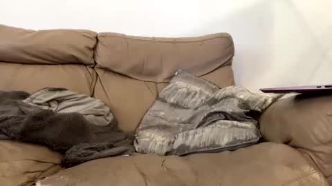 Snapshot of kevfromchat chatting on January 8, 1:31 pm kevfromchat online show from January 8, 1:31 pm