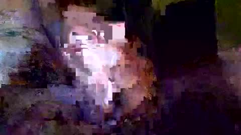 Snapshot of khrisdavis63 chatting on October 21, 3:18 am Khristopher Davis online show from October 21, 3:18 am