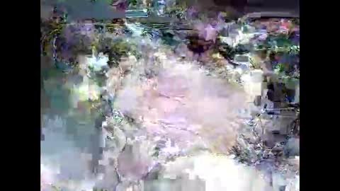 Snapshot of ki389253 chatting on March 4, 2:17 am ki389253 online show from March 4, 2:17 am