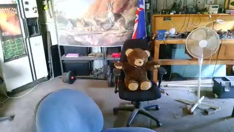 kimintheshed online show from February 21, 10:16 am