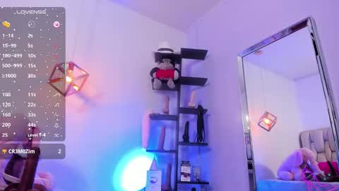 KIM online show from November 14, 3:27 am