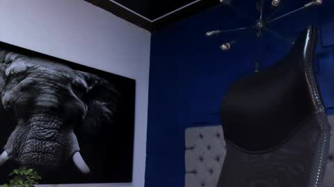 Angel Falconer online show from February 1, 1:59 am