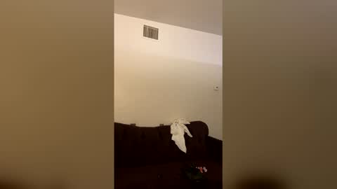 kingecstasyxxxddd online show from March 16, 3:56 am