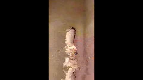 Snapshot of kini8278 chatting on February 21, 1:56 pm kini8278 online show from February 21, 1:56 pm