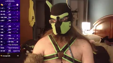 kinkywolf87 online show from September 24, 6:44 pm