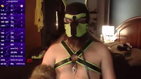 kinkywolf87 online show from November 21, 12:32 am