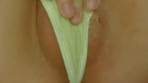Snapshot of kitkatbaby2 chatting on June 17, 5:32 am Kitty online show from June 17, 5:32 am