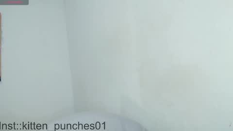 kitten_punches02 online show from November 1, 3:08 am