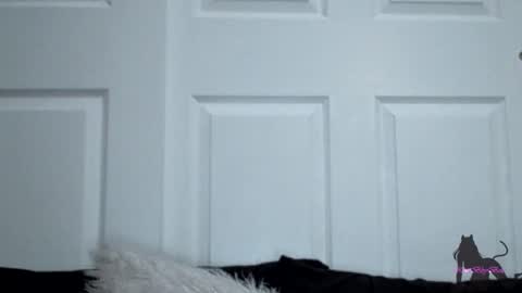 Kitti online show from November 11, 7:52 am