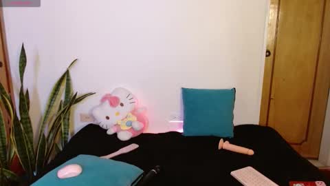 Snapshot of kittycatw chatting on December 17, 9:21 pm LAURA help me reach 100likes online show from December 17, 9:21 pm