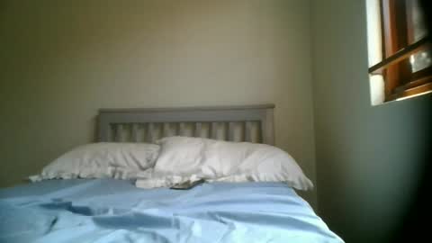 kittygulf online show from February 13, 8:32 am