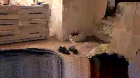 Snapshot of kittykat175154 chatting on February 27, 10:04 am kittykat175154 online show from February 27, 10:04 am