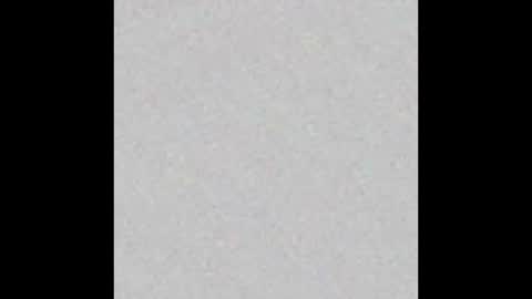 knox_steele online show from November 30, 9:35 am