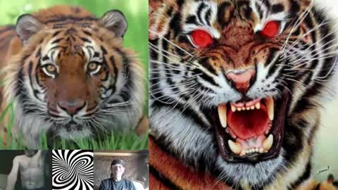 Snapshot of kodiakpm1 chatting on February 1, 7:15 am kodiakpm1 online show from February 1, 7:15 am