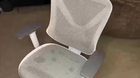 your hairy neighbor online show from December 16, 9:58 am