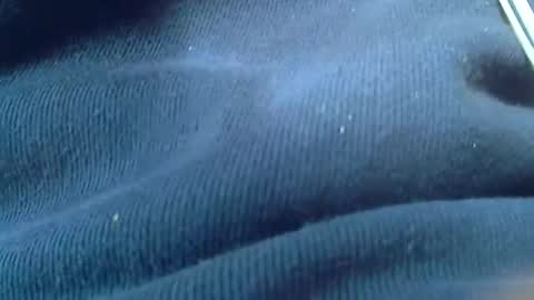 kunio37 online show from January 4, 1:42 am