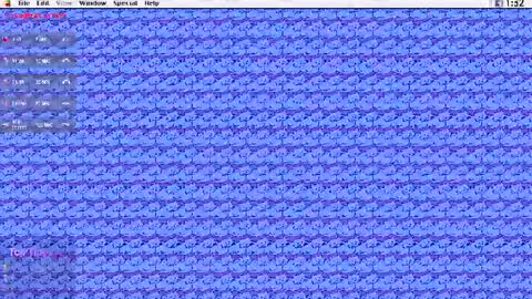 Snapshot of kuntboyzworld chatting on July 25, 7:00 pm Krypto hethey online show from July 25, 7:00 pm