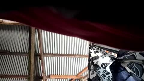 kylie online show from April 10, 12:16 am