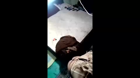 labestiareconoseme44420 online show from April 1, 7:53 am