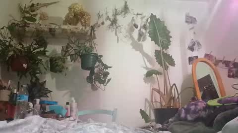 Snapshot of lacybell chatting on December 24, 6:44 am lacybell online show from December 24, 6:44 am