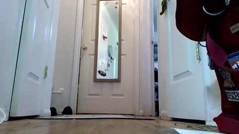 Snapshot of lacybell chatting on January 8, 2:14 am lacybell online show from January 8, 2:14 am