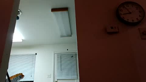 Snapshot of lacybell chatting on January 14, 2:50 am lacybell online show from January 14, 2:50 am