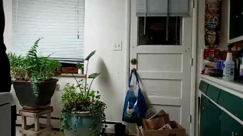 Snapshot of lacybell chatting on February 15, 5:19 am lacybell online show from February 15, 5:19 am