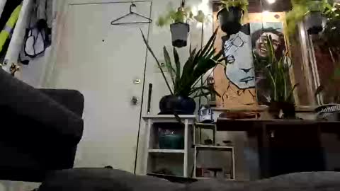 Snapshot of lacybell chatting on February 19, 7:28 am lacybell online show from February 19, 7:28 am