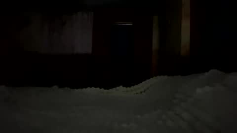 LadaXDaniel online show from February 1, 10:41 pm