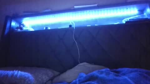 Snapshot of ladycinnabon chatting on February 24, 5:11 am Stephanie online show from February 24, 5:11 am