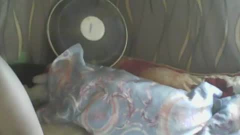 LadyXSnakes online show from January 10, 5:26 am