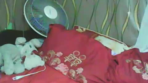 LadyXSnakes online show from January 11, 3:31 pm